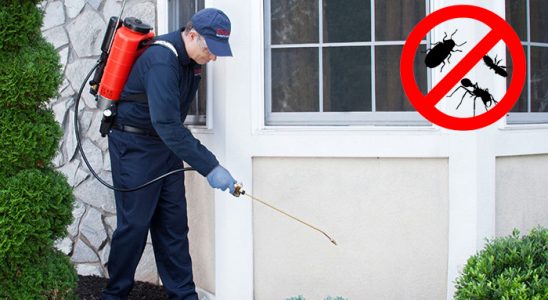 Çiftlikköy Gümüşkurt İlaçlama böcek ilaçlama ve haşere kontrolü — ilaclama-tr.com